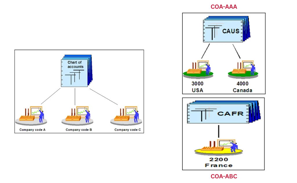 Chart of Account (COA) – SAP FI Overview Chart of Account (COA) - SAP FI Overview