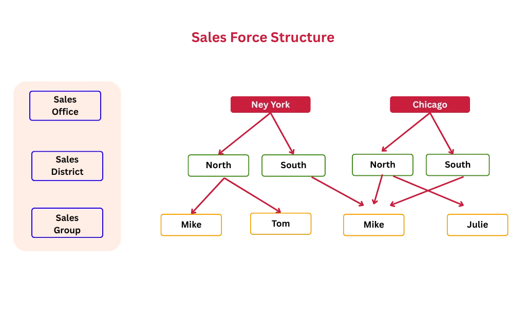 Sales Force Structure -SAP SD Overview Sales Force Structure -SAP SD Overview