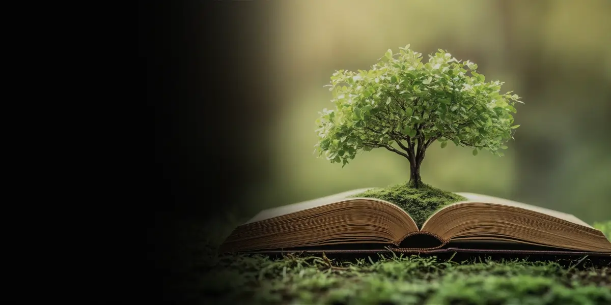 Slide 1st Home - Think Tree (1)