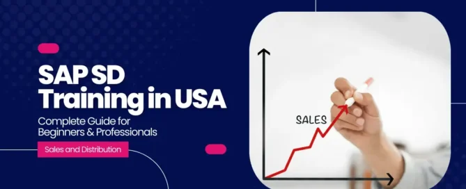 SAP SD Training in USA