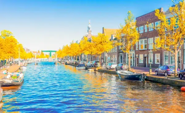 SAP Training in Netherlands