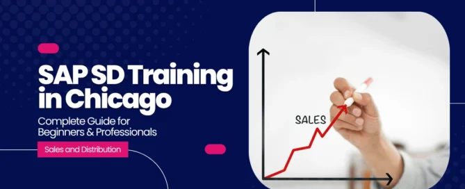 SAP SD Training in Chicago
